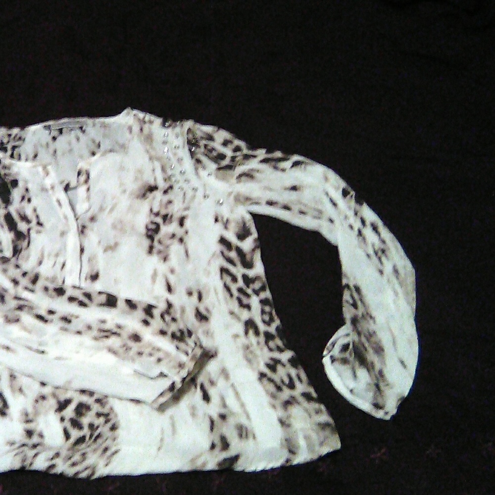 Jennifer Lopez Animal Print Studded Blouse
